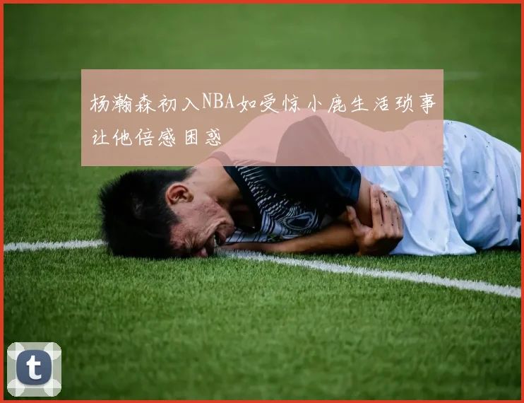 杨瀚森初入NBA如受惊小鹿生活琐事让他倍感困惑